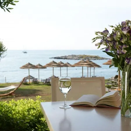 Villa Beautiful Stupenda With Whirlpool In Porec Montižana